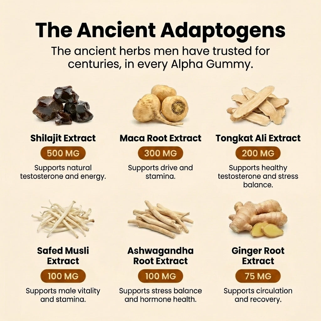 11-in-1 Alpha Gummies - 6 Bottles - One Time