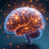 Brain Health Supplements for Cognitive Vitality