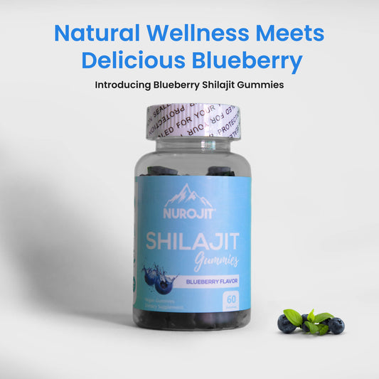 Blueberry Shilajit - 60 Vegan Gummies