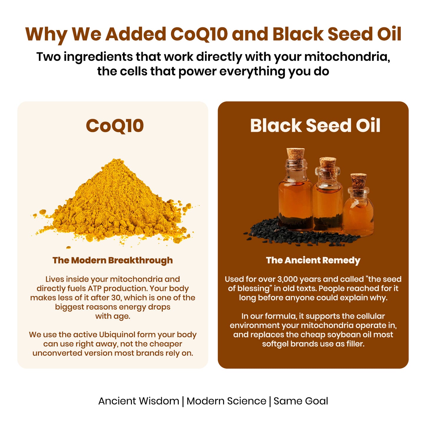 Sun-Dried Shilajit Soft Gel