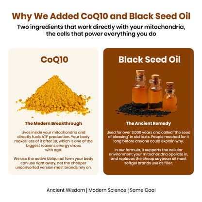 Sun-Dried Shilajit Soft Gel