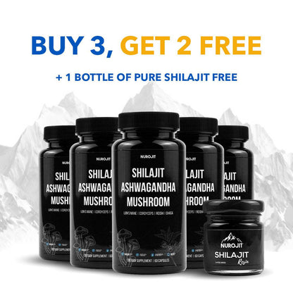 6 in 1 Ashwagandha Shilajit Mushroom Capsules - NuroJit