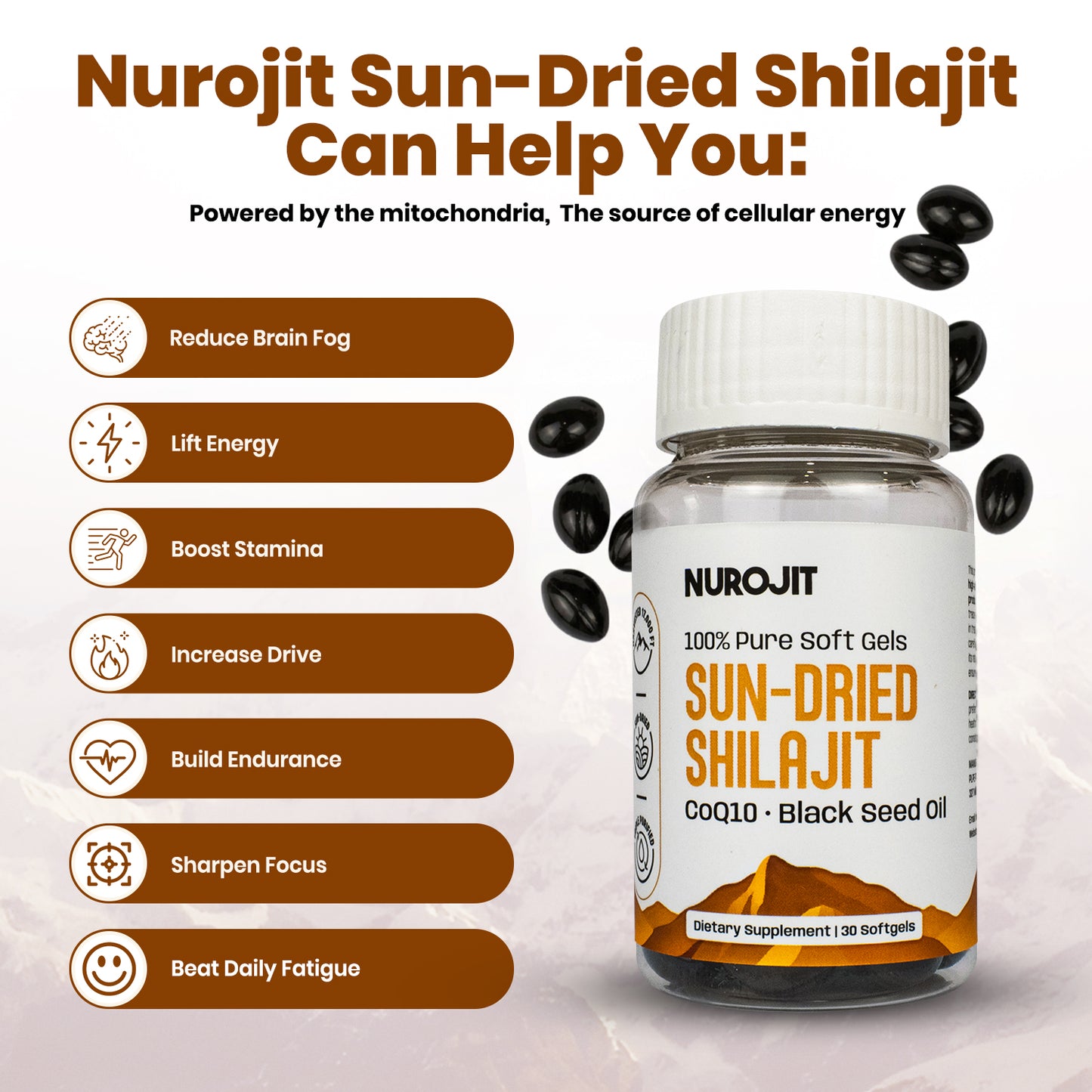 Sun-Dried Shilajit Soft Gel