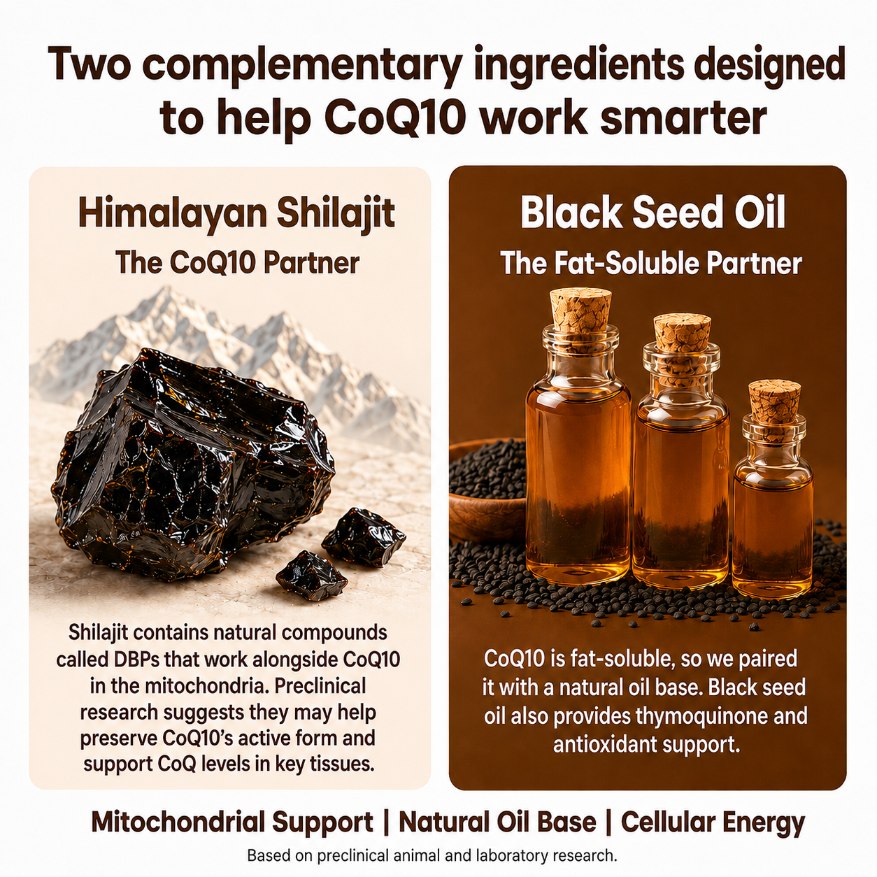 Triple Strength CoQ10