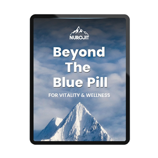 E-Book - Beyond The Blue Pill - NuroJit