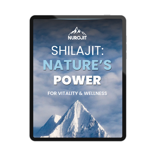 E-Book - Shilajit: Nature's Power