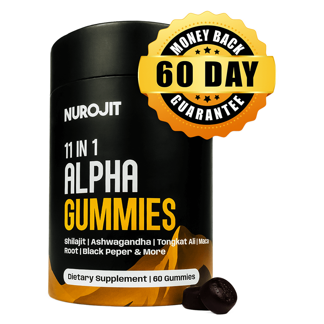 Image banner - Nurojit