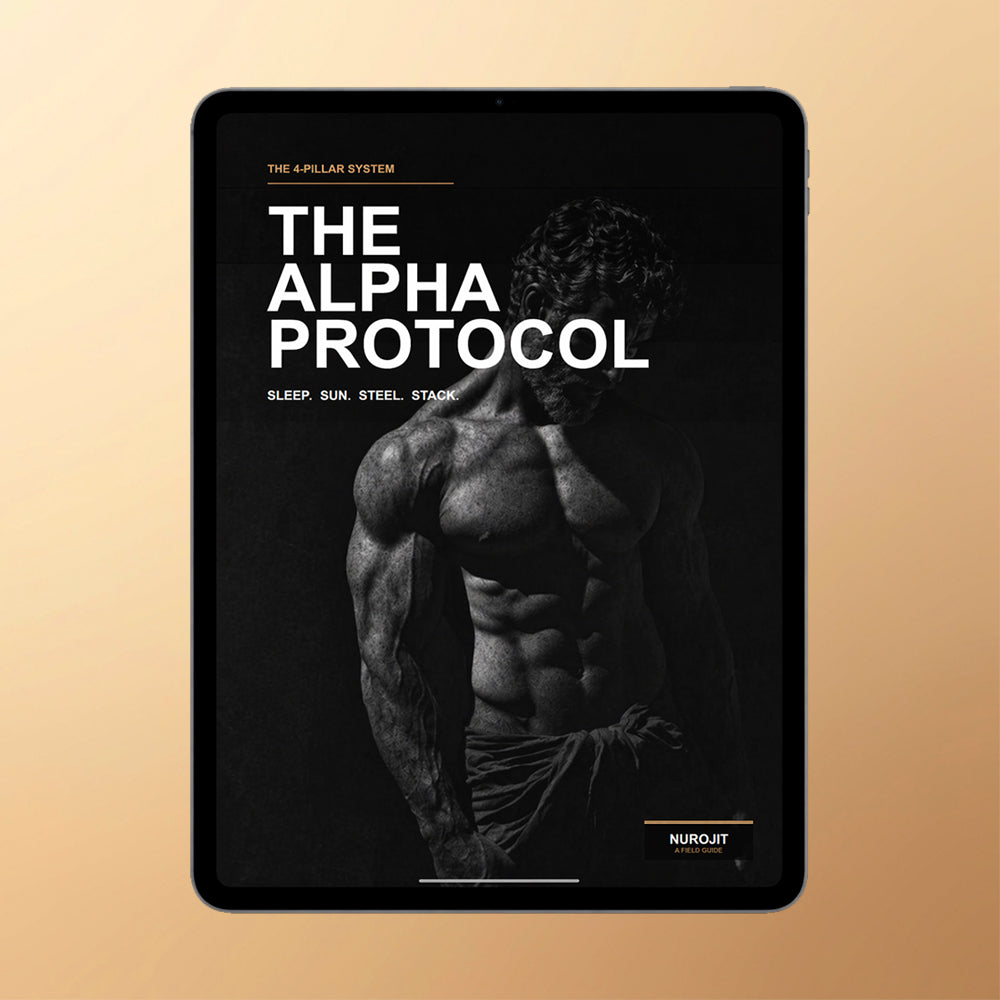 Free Alpha Protocol eBook