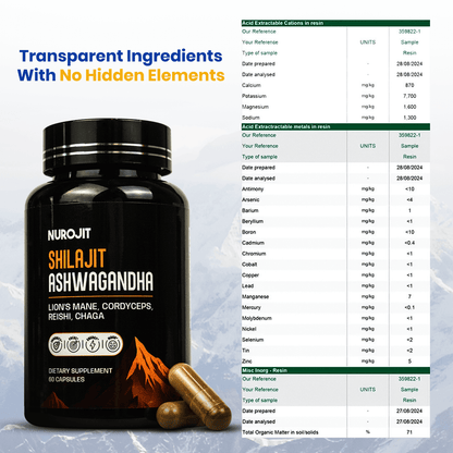 6 in 1 Ashwagandha Shilajit Mushroom Capsules - NuroJit