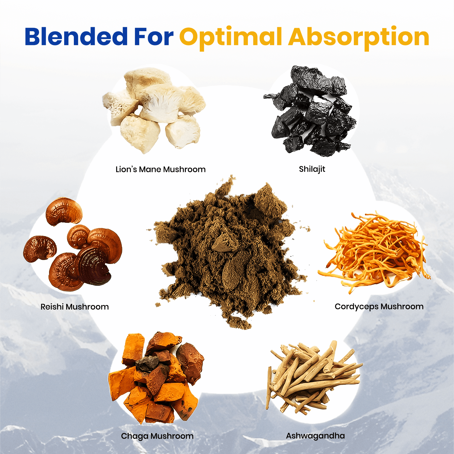 6 in 1 Ashwagandha Shilajit Mushroom Capsules - NuroJit