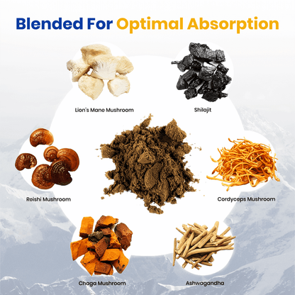 6 in 1 Ashwagandha Shilajit Mushroom Capsules - NuroJit